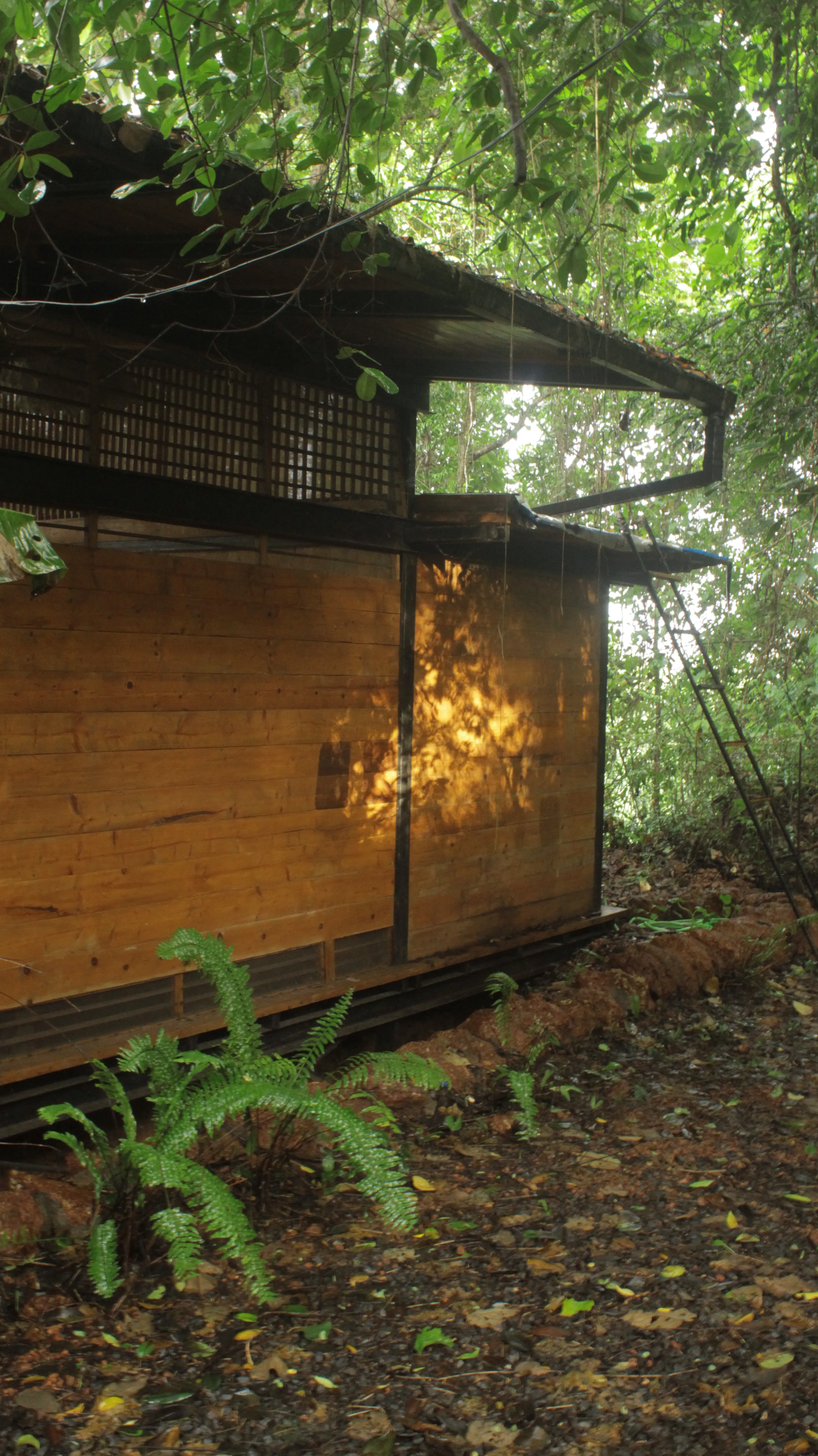 Backyard House — 1
